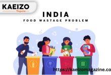 India has a food wastage problem. How individual can make a difference?