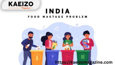 India has a food wastage problem. How individual can make a difference?