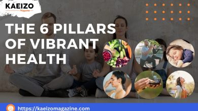 The 6 Pillars of Vibrant Health