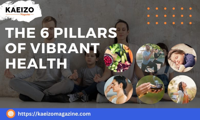 The 6 Pillars of Vibrant Health