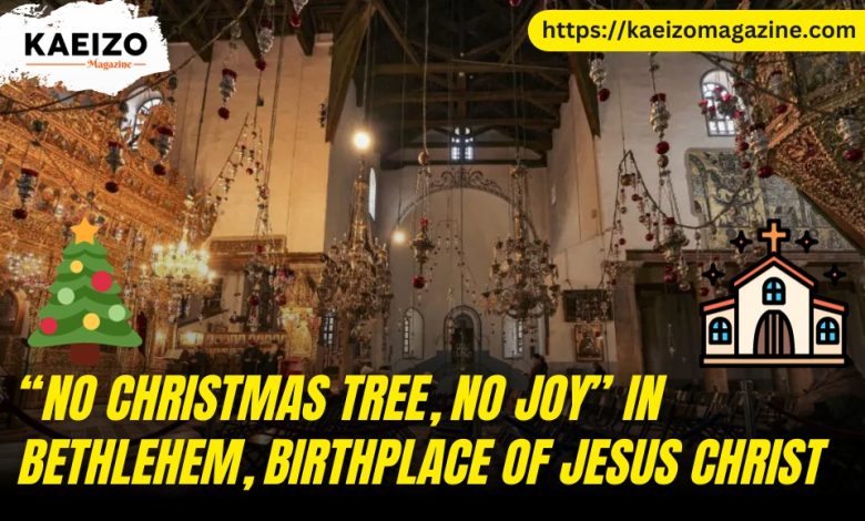 "No Christmas Tree, No joy" in Bethlehem, Birthplace of Jesus Christ