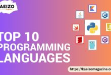Top 10 Programming Languages