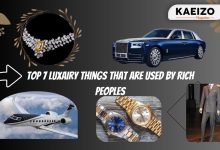Top 7 Luxairy Things That Are Used By Rich Peoples