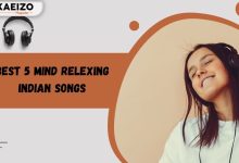 Best 5 mind relexing indian songs